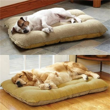 1 Lit pour Chien en Polyester et Daim, Coussin Lavable 75x50x12cm, Tapis Confortable pour Animaux de moins de 15kg