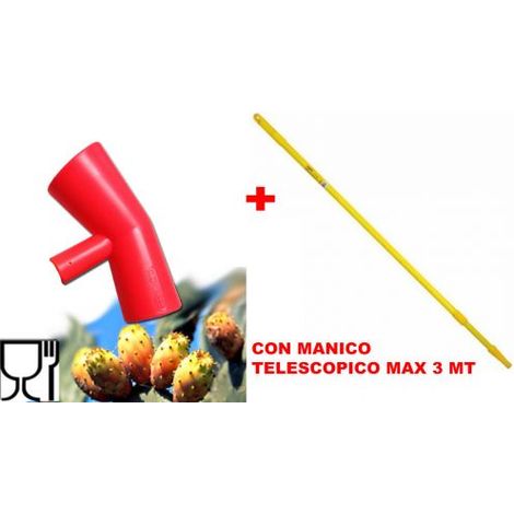 RACCOGLI FICHI D'INDIA COGLIFRUTTA MANICO TELESCOPICO RACCOLTA FRUTTO 31754/1