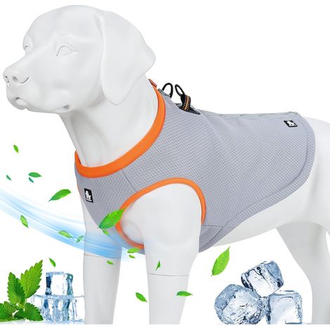 Gilet rafraichissant pour Chien Gilet Rafraîchissant Harnais Veste pour Chien avec Fermeture Éclair Ajustable pour la Chasse, l'Entraînement et Le Camping (1/5)