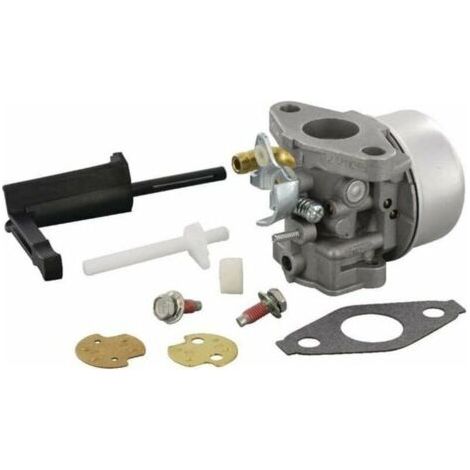 Carburateur pour 798653 (1/4)