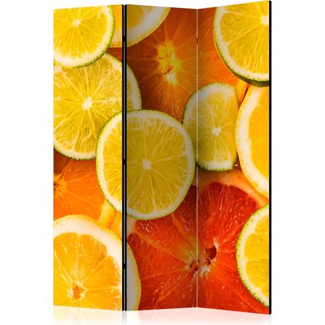 Paravento - Citrus fruits [Room Dividers] - 135x172 (1/4)