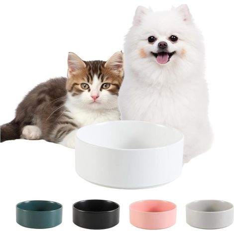 Ceramic Non-Slip Dog Bowl - Small Dog Bowl - Cat Bowl for Water and Dry Food - Ceramic Bowl - Splash (1/5)