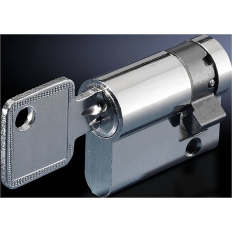 Rittal CS 9785.040 Inserto di chiusura 1 pz. (1/3)