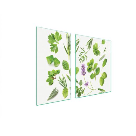 PLACA PROTECTORA DE VIDRIO PARA ESTUFA 90x52 PLANTAS (1/5)
