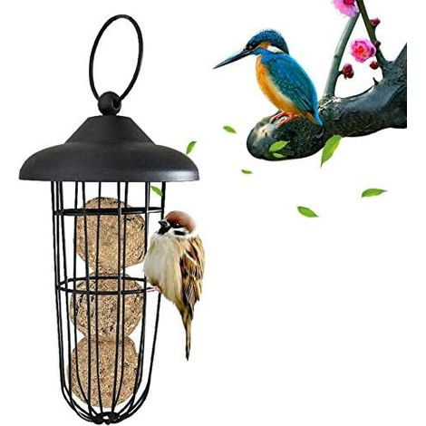 Mangeoires d'extérieur pour oiseaux - Mangeoires anti-écureuils - Mangeoires en métal - À suspendre - Porte-boules de graisse - Accessoires pour nourrir les oiseaux - Noir (1/5)