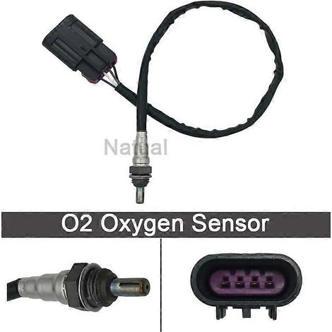 Capteur d'oxygène O2 pour Indian Chief, Chieftain, Roadmaster, Scout, Springfield, Victory, Octane, Polaris Sportsman 110, 450, 570 4016021 (1/5)