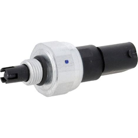 1108608-00-B Applicable aux Tesla Model 3 (2017-2020) Capteur de haute pression pour conduite de climatisation (1/5)
