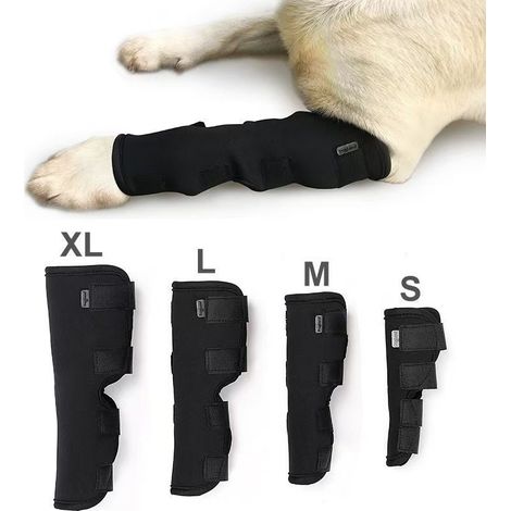 Une protection pour chien, bande de fixation des articulations du genou pour animaux de compagnie, support pour pattes avant et arrière, bandage pour chien, noir-XL-petit (1/2)