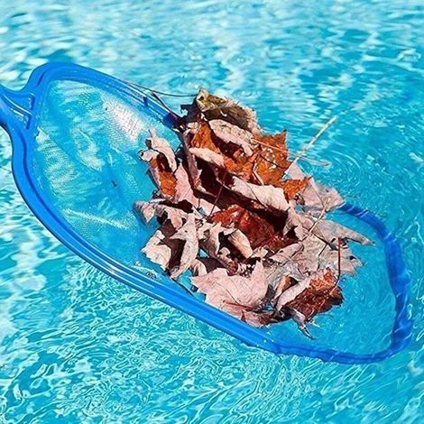 Poolpflegeprodukte / Professioneller feinmaschiger Pool-Laubrechen / Poolskimmer (blau) (1/3)