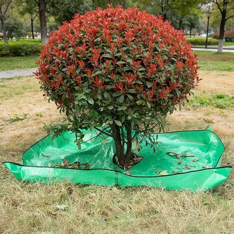 Bâche d'élagage avec Trou de 30cm, Tapis de Plantation pour l'élagage Bâches pour Tailler Les arbustes 200 x 200cm avec 4 Boucles d'angle pour Une Collecte Facile des Feuilles (1/5)