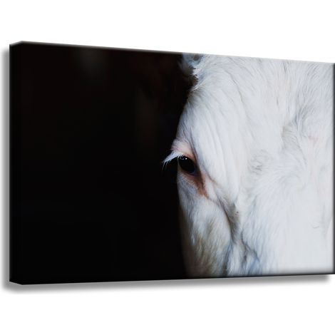 Leinwanddruck „Tieraugen“ 60 x 40 cm