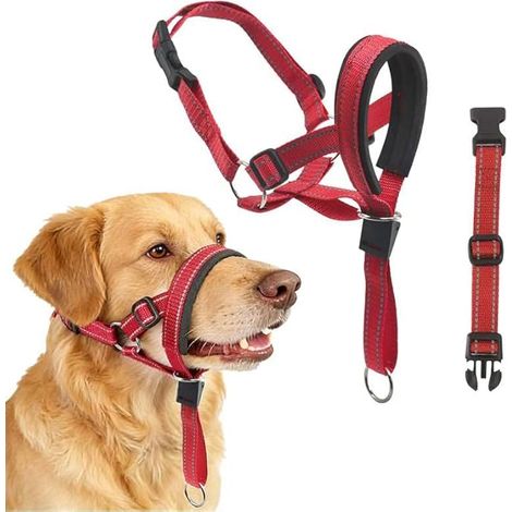 Licol Chien Réfléchissant Collier pour Chien avec Tissu Rembourré (1/5)
