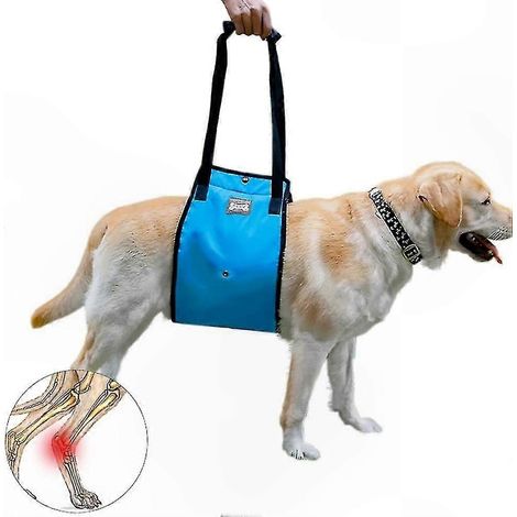 Harnais de soutien pour chien âgé ou blessé - Gilet de levage pour animaux convalescents - Aide à la marche canine, taille L (1/5)