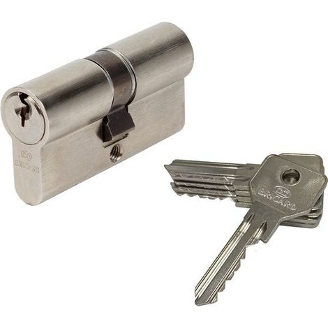 Cylindre De Serrure Bricard Alpha Débrayable L.30 + 30 Mm