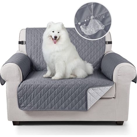 Housse canapé imperméable chien élastique mousse antidérapante protection taches usure (1/5)