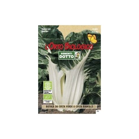 SEMENTI BIETA VERDE COSTA BIANCA 3
