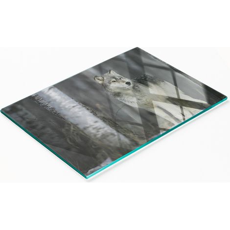 Tablero de vidrio decorativo multifuncional para cocina, color gris lobo, 80x52 cm. (1/5)
