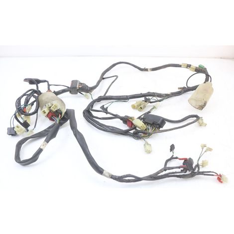 [PRODUIT D'OCCASION] FAISCEAU HONDA FES PANTHEON 2T 125 1998 - 2002 (1/5)