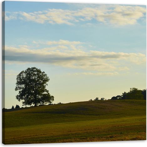 Leinwanddruck Natur Baum auf einer Wiese 50x50 cm