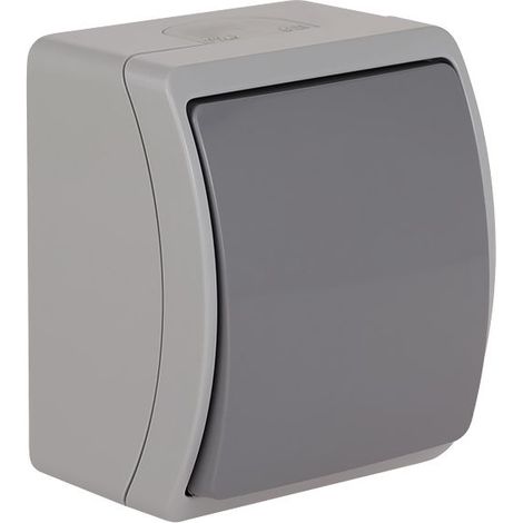 Koala Einpoliger Schalter IP44 Esche/Graphit VW 151-08 61.305 (1/2)