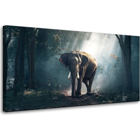 Leinwanddruck Tiere Elefant 80x40 cm