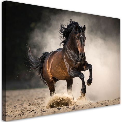 Toile Imprimée, Cheval brun galopant sur le sable,30x20 (1/4)
