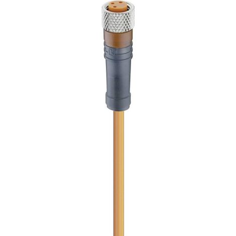 Lumberg Automation 11300-1 Sensor-/Aktor-Steckverbinder, konfektioniert M8 Buchse, gerade 2.00 m Pol