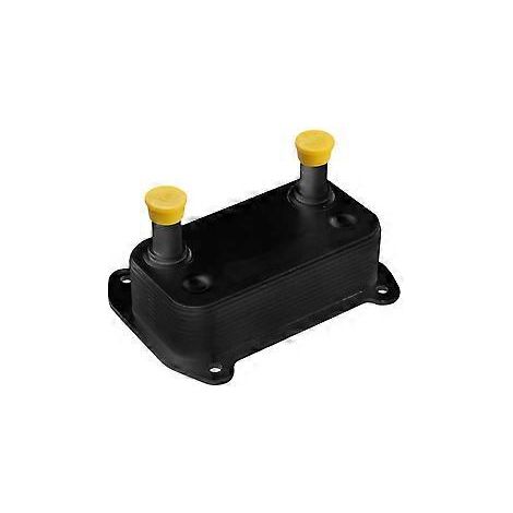 Motorkühlmittelkühler-Ersatzteil 420888852 Kühler für