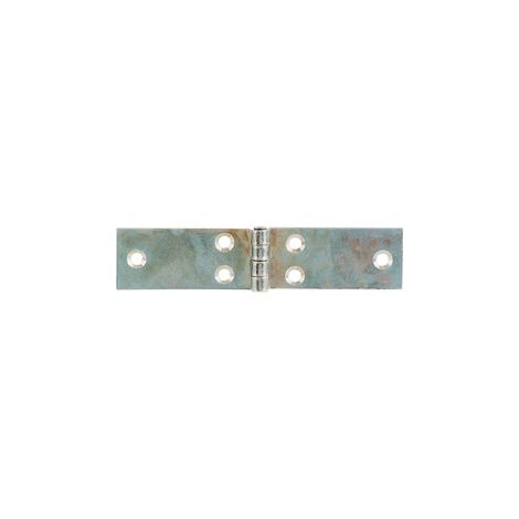 BL CERNIERA PERNO FISSO LUNGA 140X28 MM DA 2 PZ- ALDEGHI LUIGI SPA- 6,0 blister