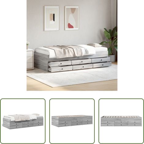 Schlafsofa -  Tagesbett mit Schubladen ohne Matratze Grau Sonoma 90x190 cm (1/5)