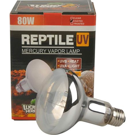 Reptile UVA/UVB à vapeur de mercure ampoule lampe, E27 VIS, 80 Watt (Enduit) (1/4)