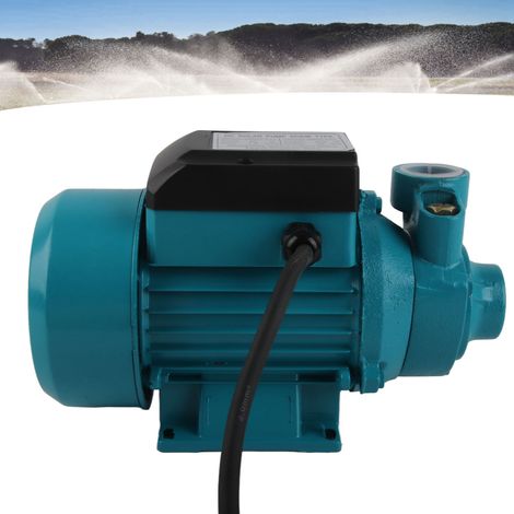 Pompe vortex portable 230W à haut débit et à forte hauteur de refoulement, alimentée par énergie solaire CC 24V pour l'alimentation en eau des bâtiments, l'irrigation des terres agricoles et l'aliment (1/5)