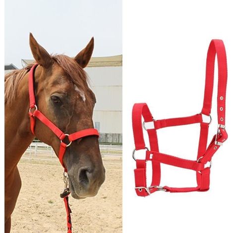 Licou de cheval Couleur rouge d'accessoires d'équitation de licol de contrôle de bride de cheval de sangle épaissie de (1/4)