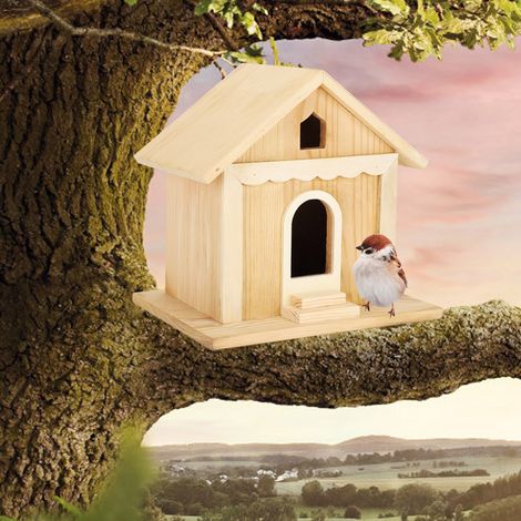 Nids d'oiseaux en bois, nichoirs en bois massif, en stock, nids pour perroquets en bois pour jardin extérieur, nichoirs en bois. (1/5)