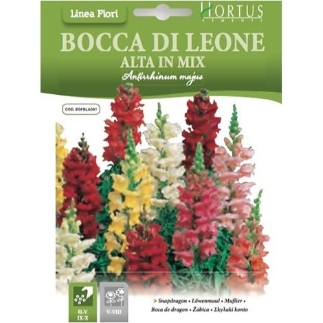 Bocca di leone alta mix DB - bunte, pflegeleichte Zierpflanze für Garten und Balkon