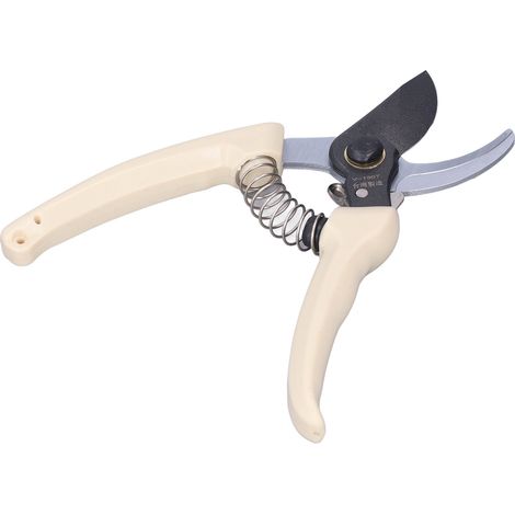 Sécateur robuste et ergonomique avec boucle de rangement et poignée antidérapante pour mini-jardins. (1/5)