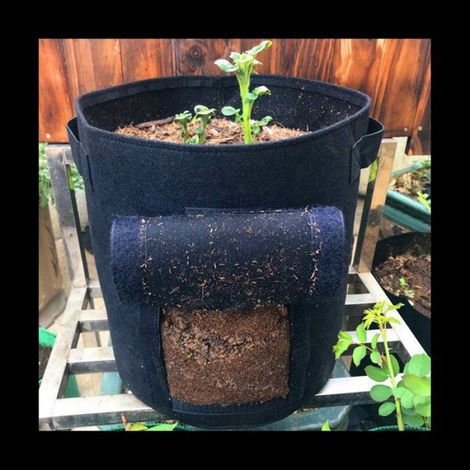 Lot de 3 de Culture de Pommes de Terre de 10 Gallons, de Culture avec PoignéEs et Rabat Visualisé, Pots Non TisséS éPais et (1/5)