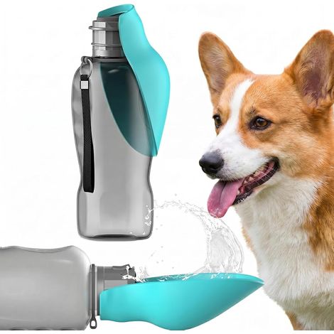 Gourde pour Chien - 1 Pièce - ABS et TPR - Abreuvoir Intégré 800 ml - Promenade et Voyage - Bleu (1/5)