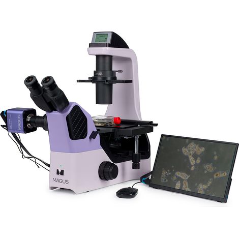 Umgekehrtes biologisches Mikroskop digital MAGUS Bio VD360 LCD (1/5)
