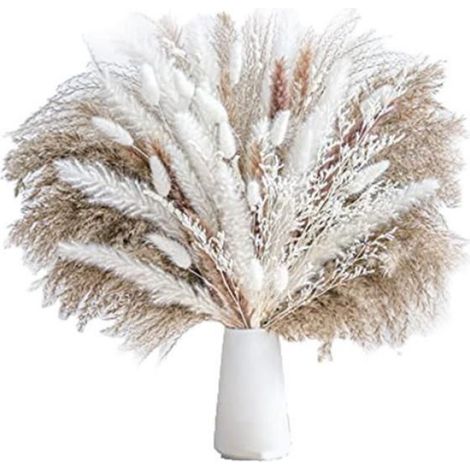 86PièCes Herbe de Pampa SéChéE Naturelle, Phragmites, Fleurs SéChéEs, Bouquet pour Compositions Florales de Mariage, DéCorations (1/4)