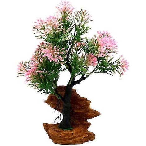 Plantes d'aquarium, décorations d'eau douce, poissons (1/5)