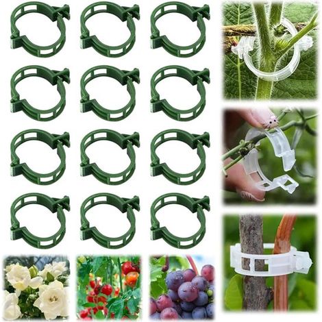 Clip per piante in plastica, 200 pezzi, clip per piante rampicanti, per legare piante di pomodoro, clip per piante, clip per piante di pomodoro, per sciogliere la frutta, bianco (1/5)