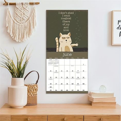 Irovami Calendrier chats sarcastiques 2024 – Original, cadeau Noël – Idéal pour amis, décoration, agenda (1/5)