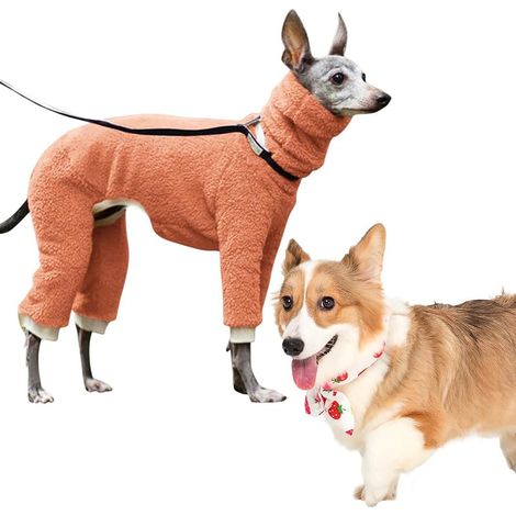 Hunde-Rollkragenoverall, dehnbarer, winddichter Winterpullover (1/5)