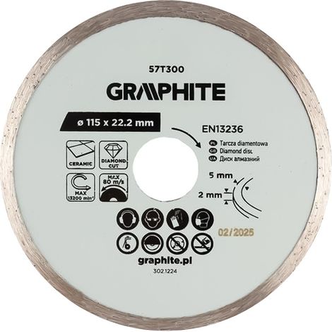 DISCO DIAMANTATO Ø 100 mm - foro 22,2 mm