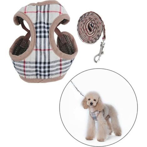 m Petit Chien Harnais et Laisses (1/5)