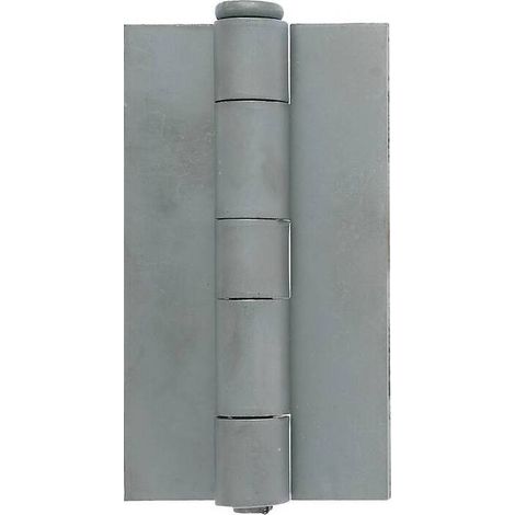20 x CERNIERA P/FERRO 1227 EXTRA PESANTE 39X2,0X 40 MM
