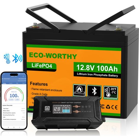 ECO-WORTHY Lithium Batterie LiFePO4 12V 100Ah Bluetooth + 12V 20A /24V 10A Batterie Ladegerät BatterieLadegerät