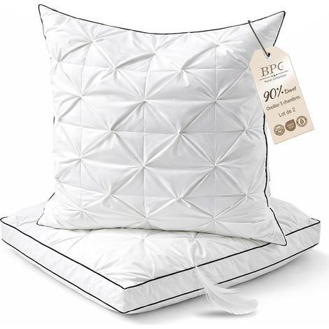 Oreiller Plumes et Duvet d'oie 60x60 cm Lot de 2, 3 Chambres (1/5)