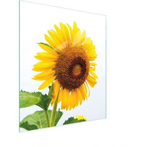 PLANCHE À DÉCOUPER EN VERRE 45x52 FLEUR (1/5)